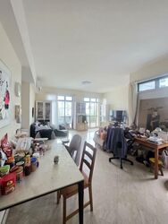 Parc Palais (D21), Condominium #539845951